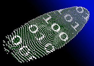 米兰体育-运动表现评估技术的可靠性与实用性分析，运动表现测试与评估指南