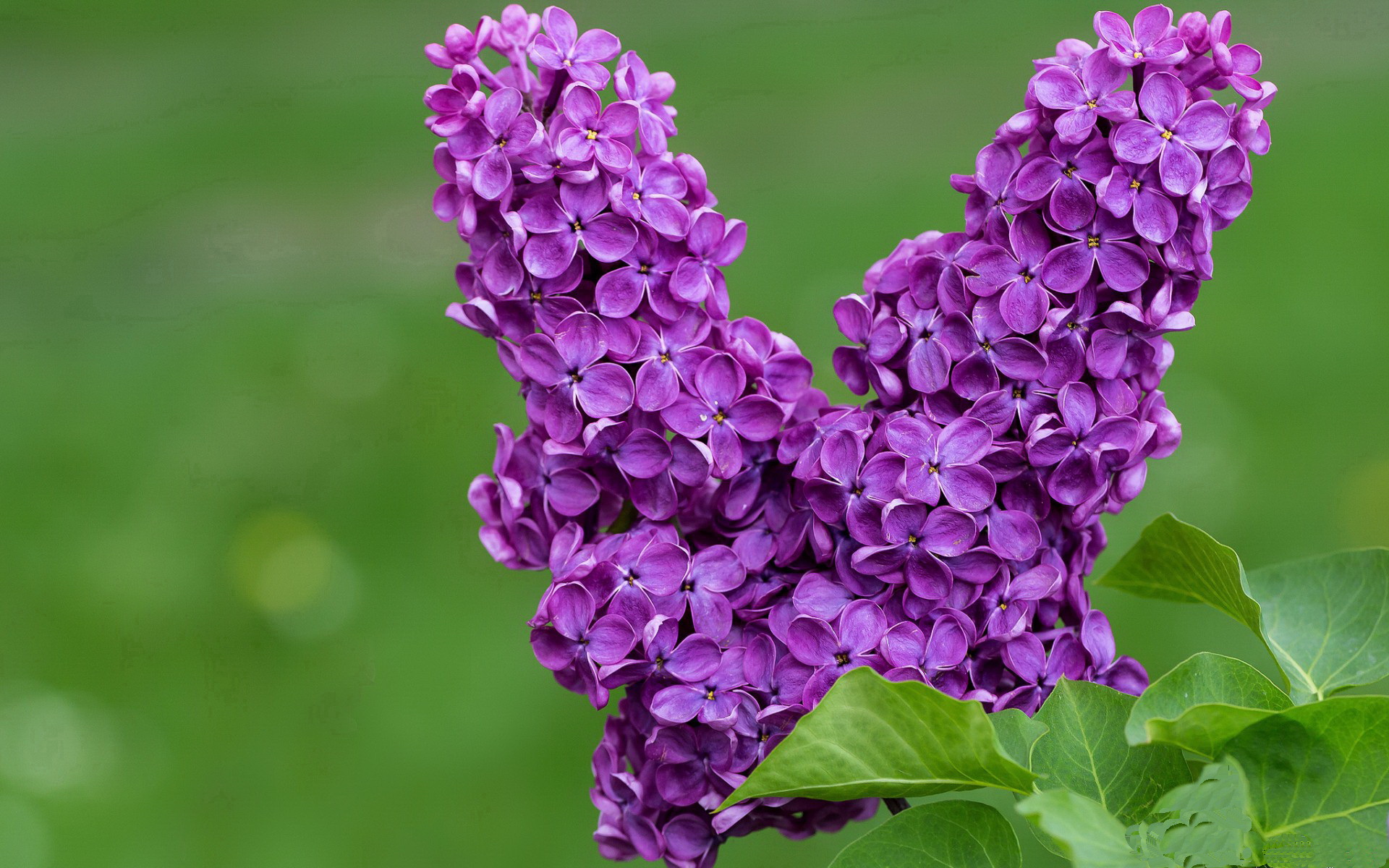 足球职业联赛多项技术指标创新高，业余足球联赛方案