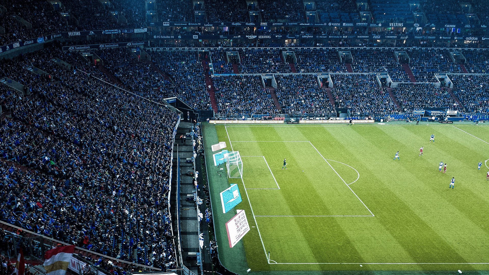 _青少年运动员成长路径：从训练营到职业舞台_，青少年运动员选材与培养